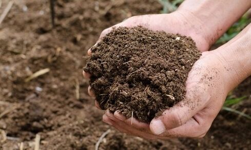 Soil is a source of parasitic infection for humans